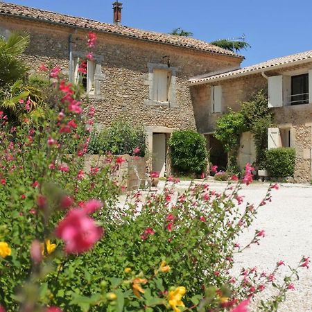 Gite Du Domaine Saint Jean De L'Arbousier 卡斯特里 外观 照片