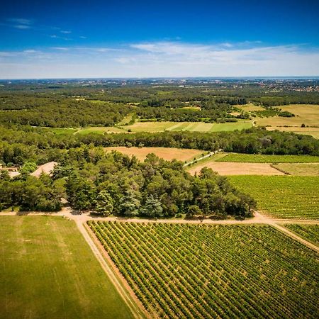 Gite Du Domaine Saint Jean De L'Arbousier 卡斯特里 外观 照片