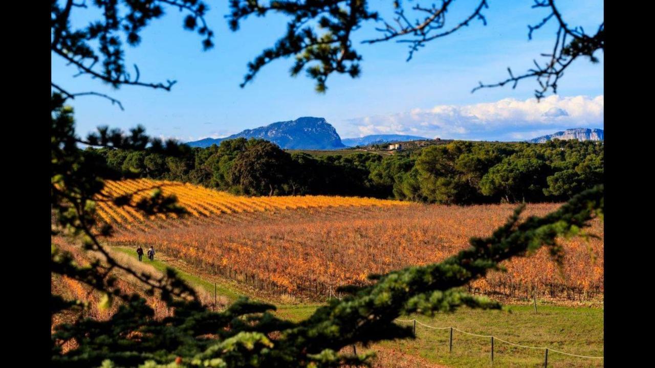 Gite Du Domaine Saint Jean De L'Arbousier 卡斯特里 外观 照片